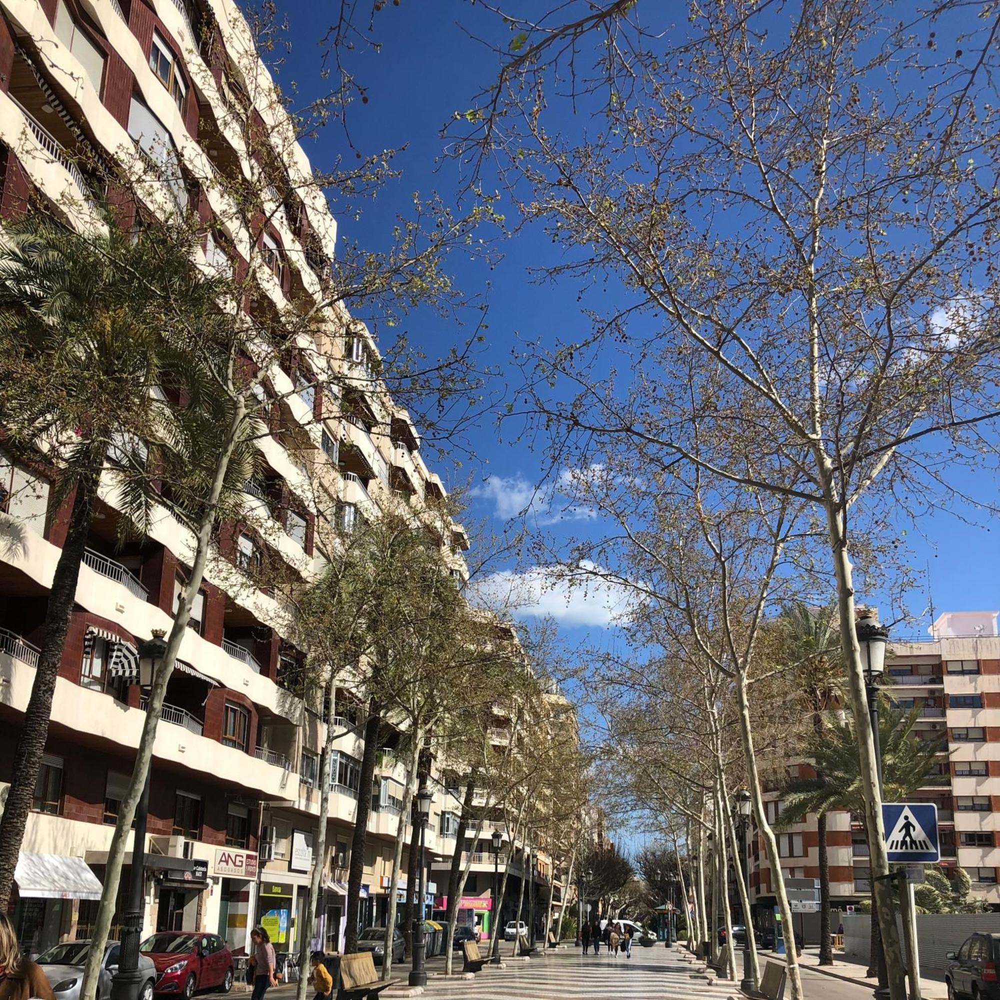 Habitaciones En Gandia A 5 Min Del Centro Historico Exterior foto